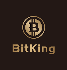 BitKing